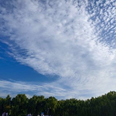 剑雨奇缘官方手游下载