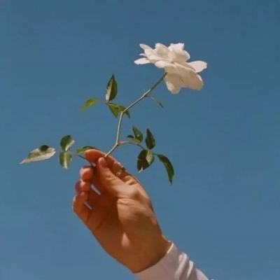 火线枪战手游